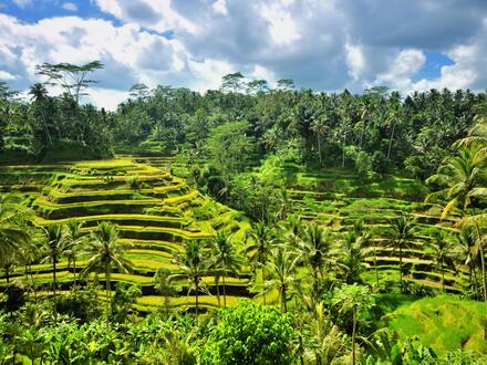 16 Tage Rundreisen Indonesien: Inselträume zwischen Vulkanen und Tempeln 16 Tage Rundreisen Indonesien: Inselträume zwischen Vulkanen und Tempeln