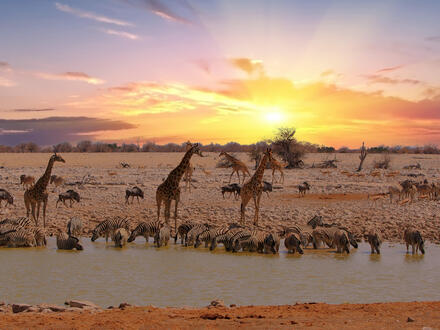 12 Tage Rundreisen Namibia Weite Horizonte, wilde Schönheit 12 Tage Rundreisen Namibia Weite Horizonte, wilde Schönheit