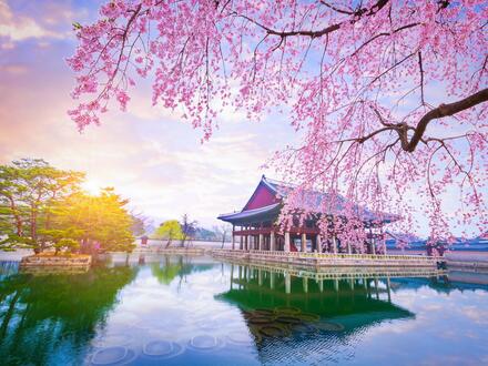 Kombinationsreisen Südkorea & Japan: Kreuzfahrt mit der Norwegian Jade von Incheon bis Yokohama inkl. Südkorea-Rundreise