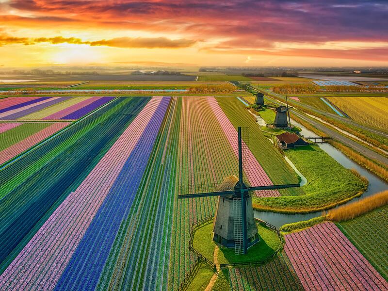 Kreuzfahrten Niederlande - Tulpenblüte: Kreuzfahrt per Rad & Segelschiff mit Wapen fan Fryslân ab/an Amsterdam